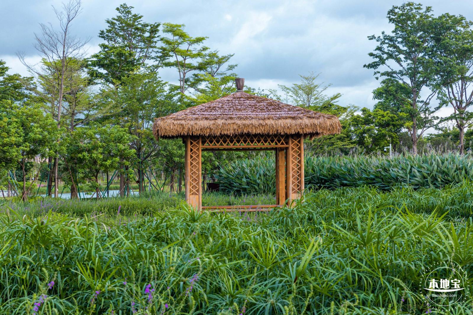 鹅颈水湿地公园