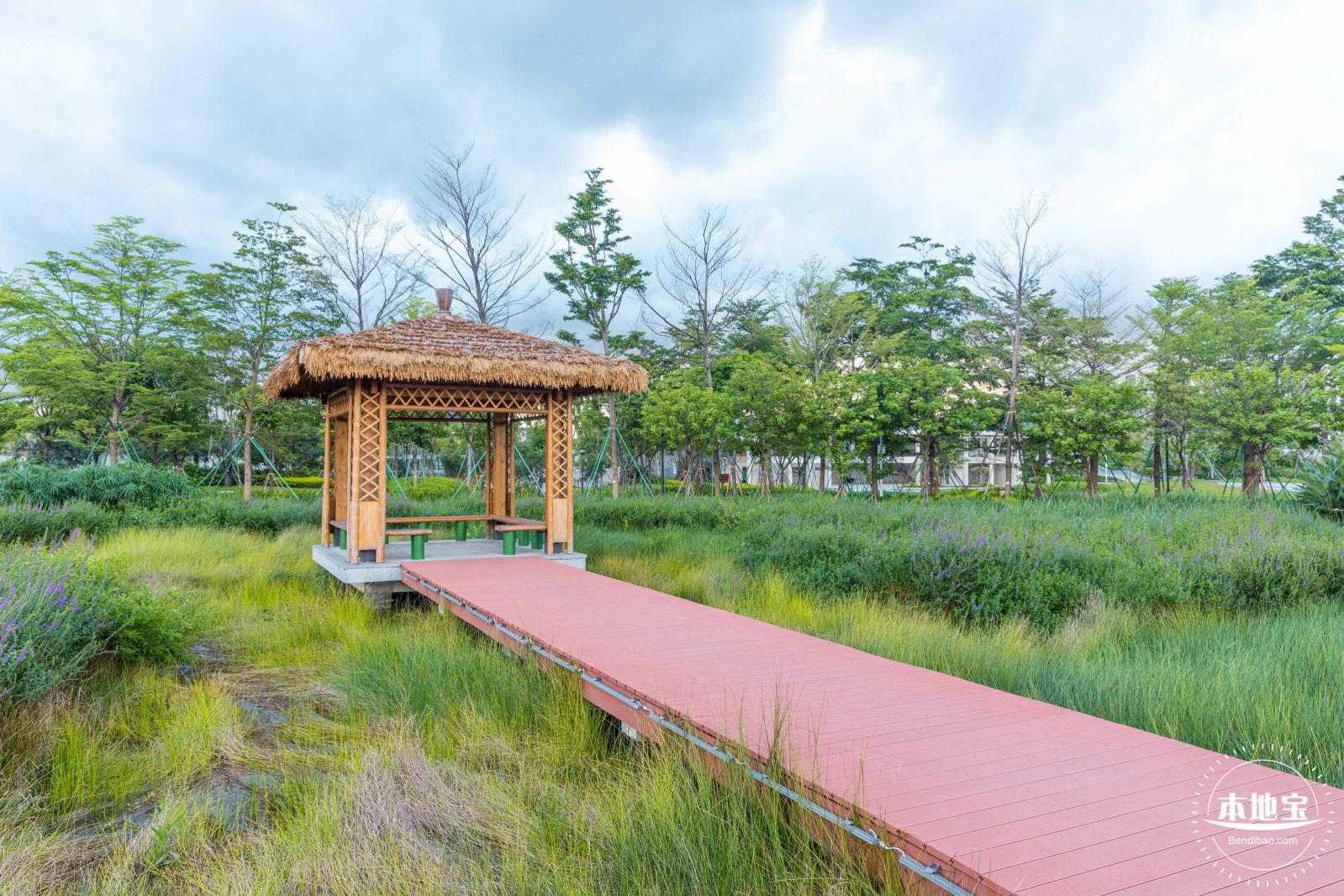 鹅颈水湿地公园