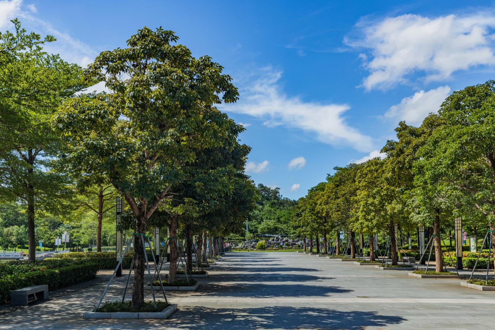 麒麟山公园