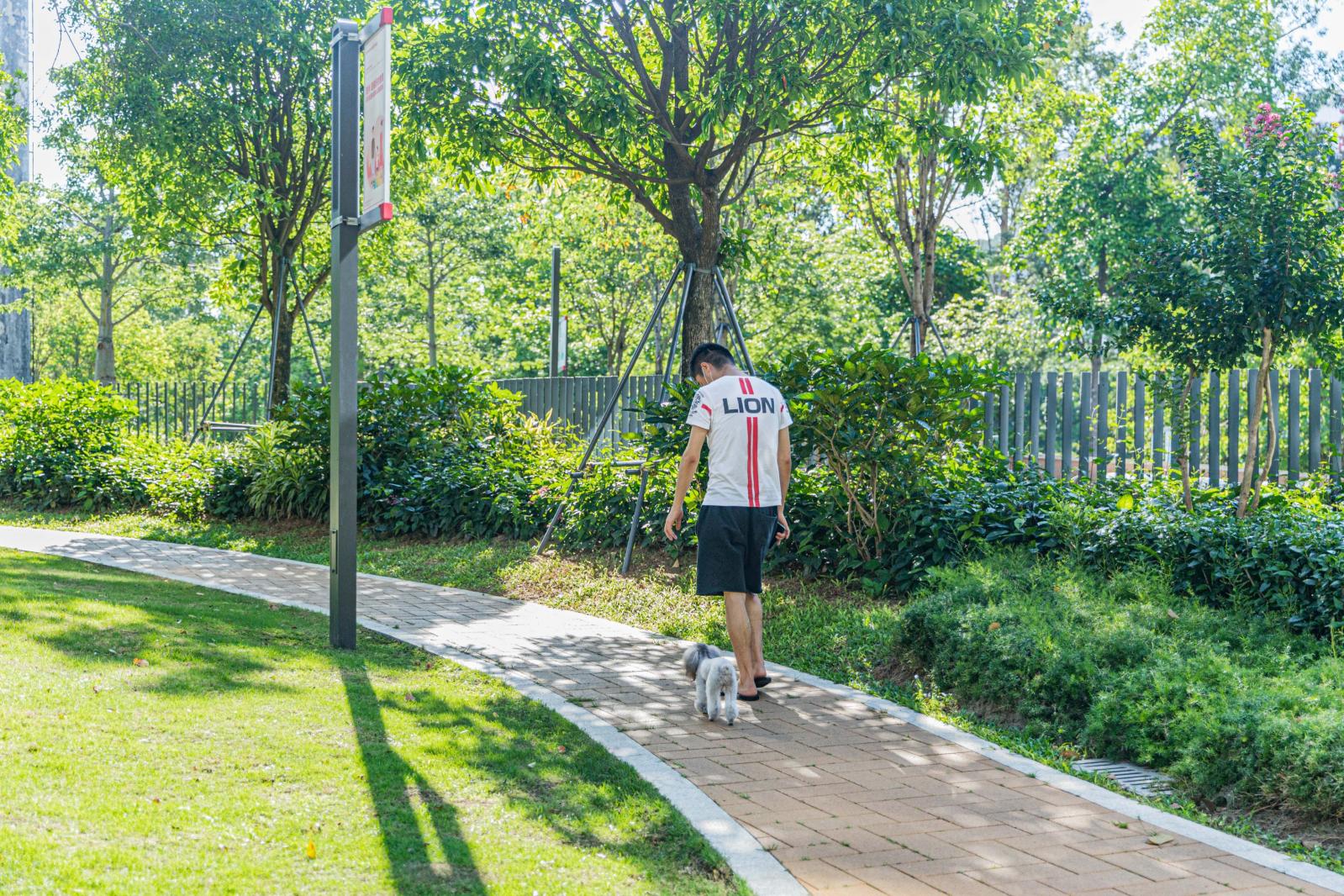 景田北六街公园（宠物主题园）