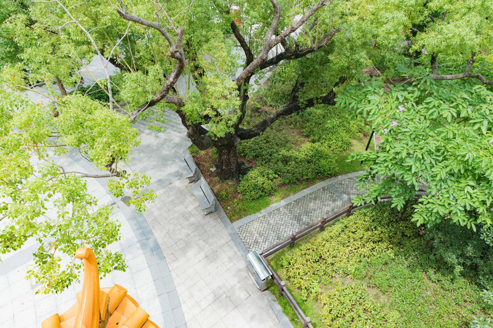 横岗人民公园