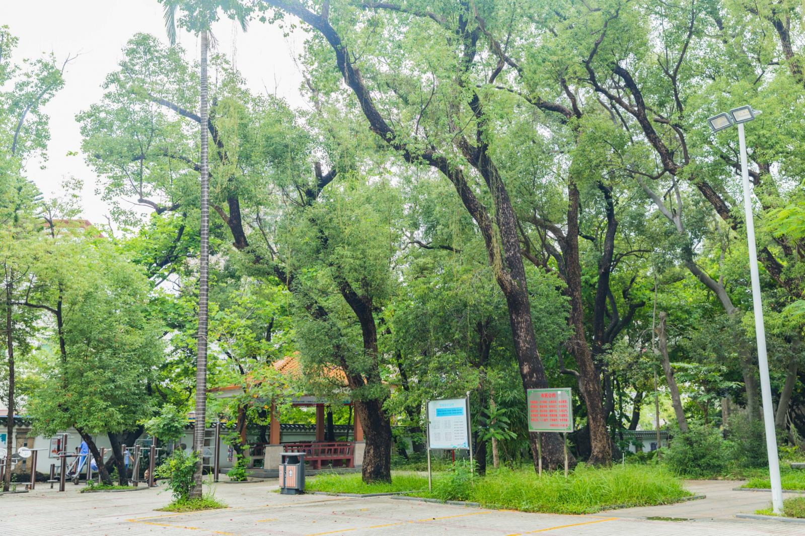 茂盛世居