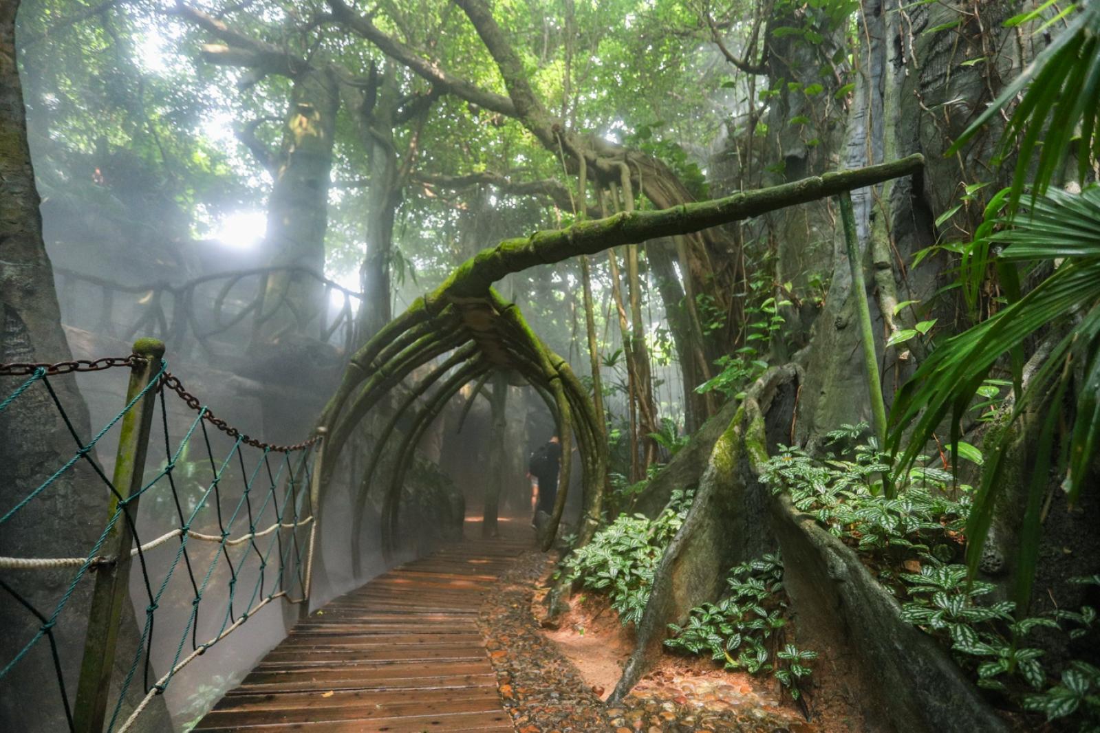 青青世界