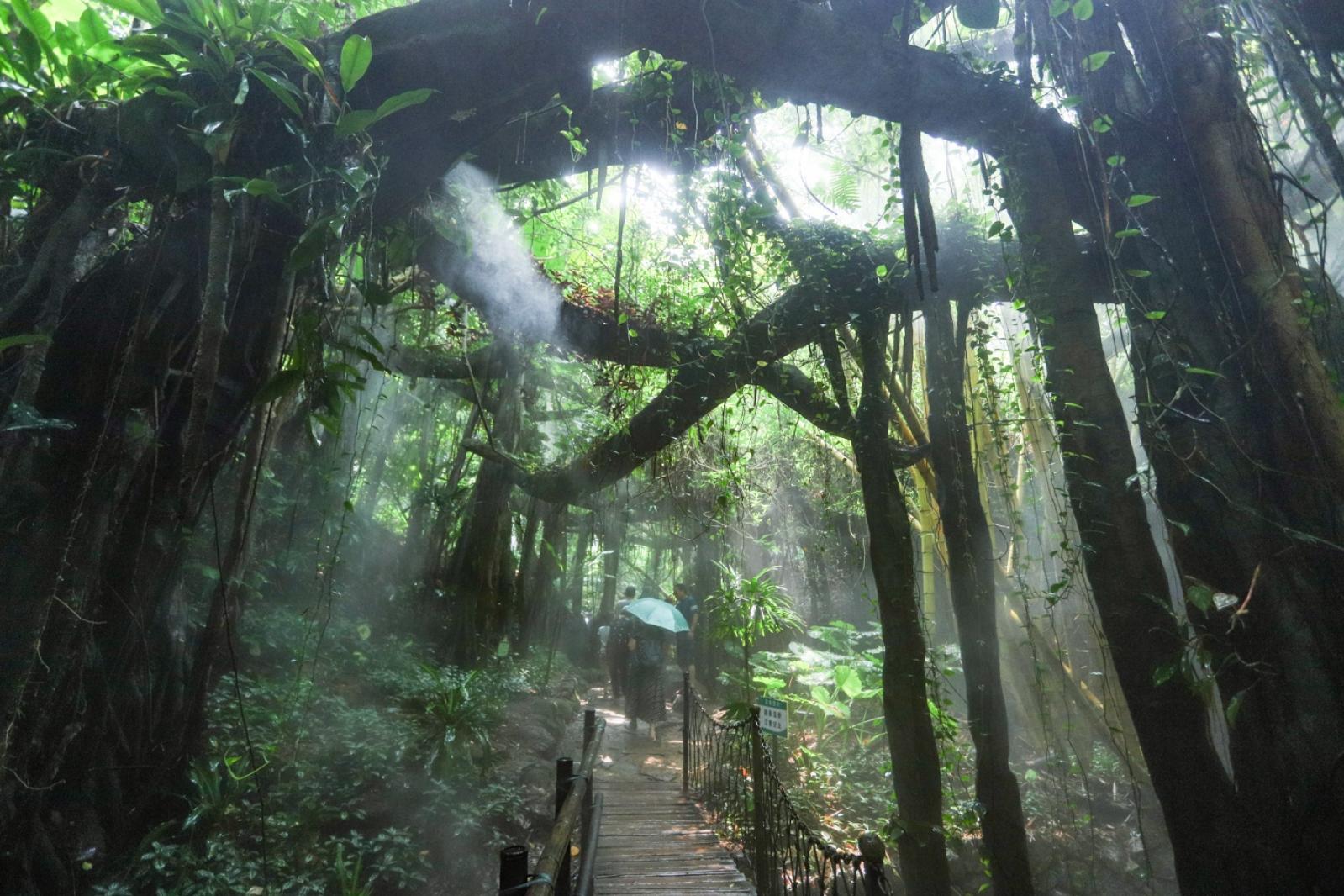 青青世界