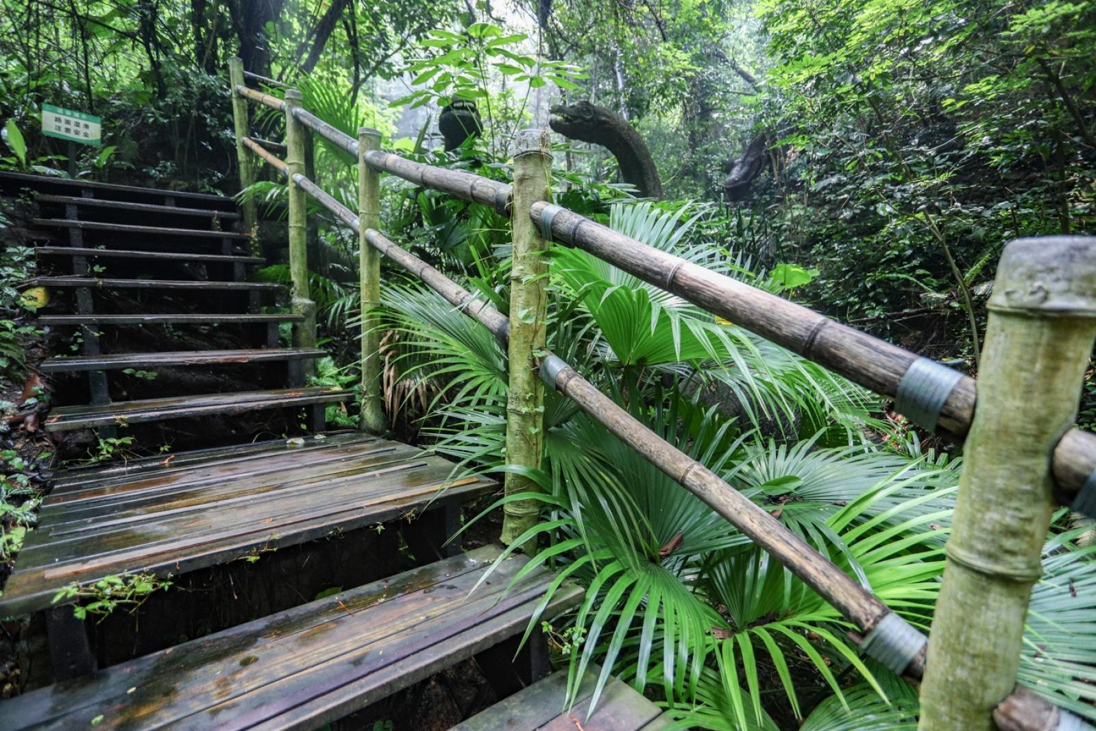 青青世界