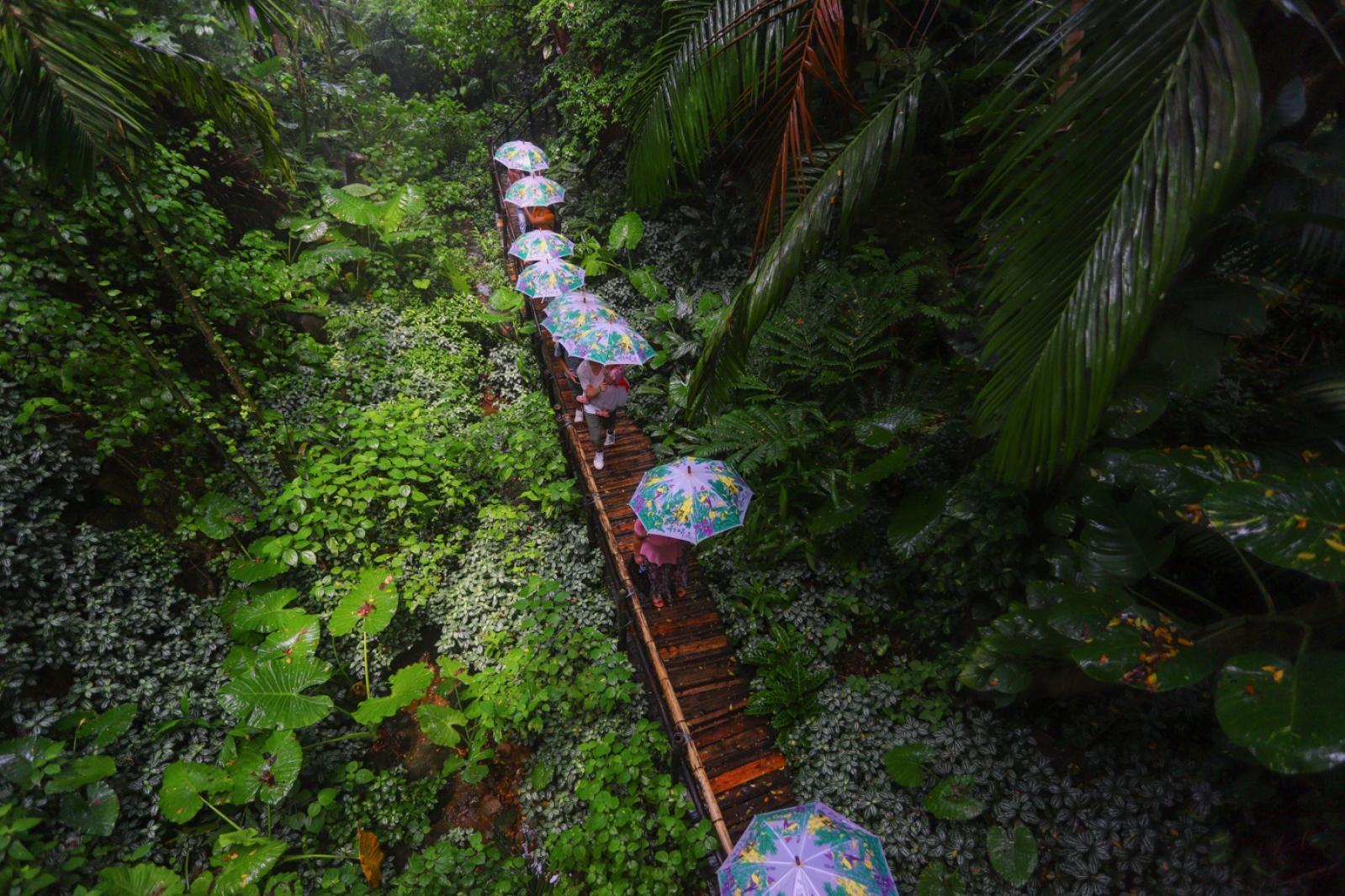 青青世界