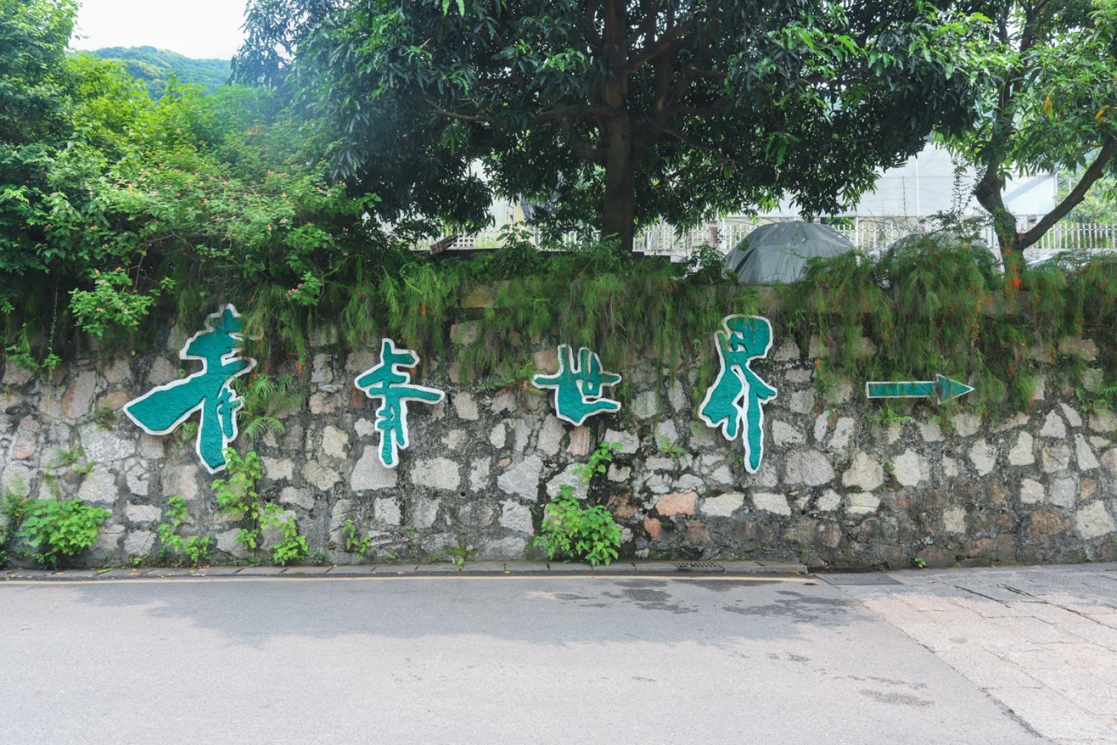 青青世界
