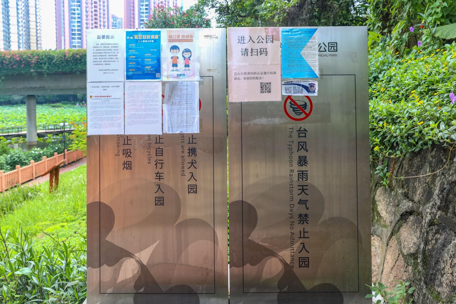 洪湖公园