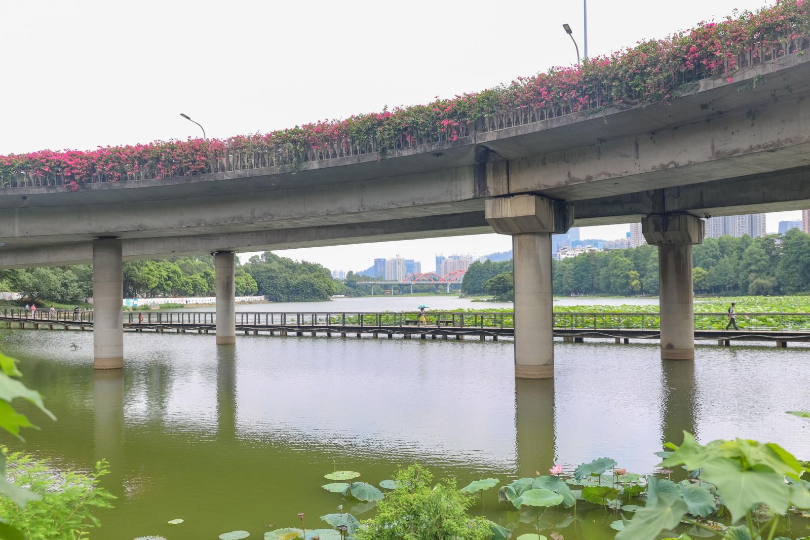 洪湖公园