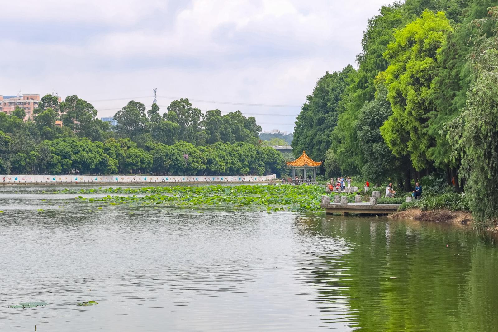 洪湖公园