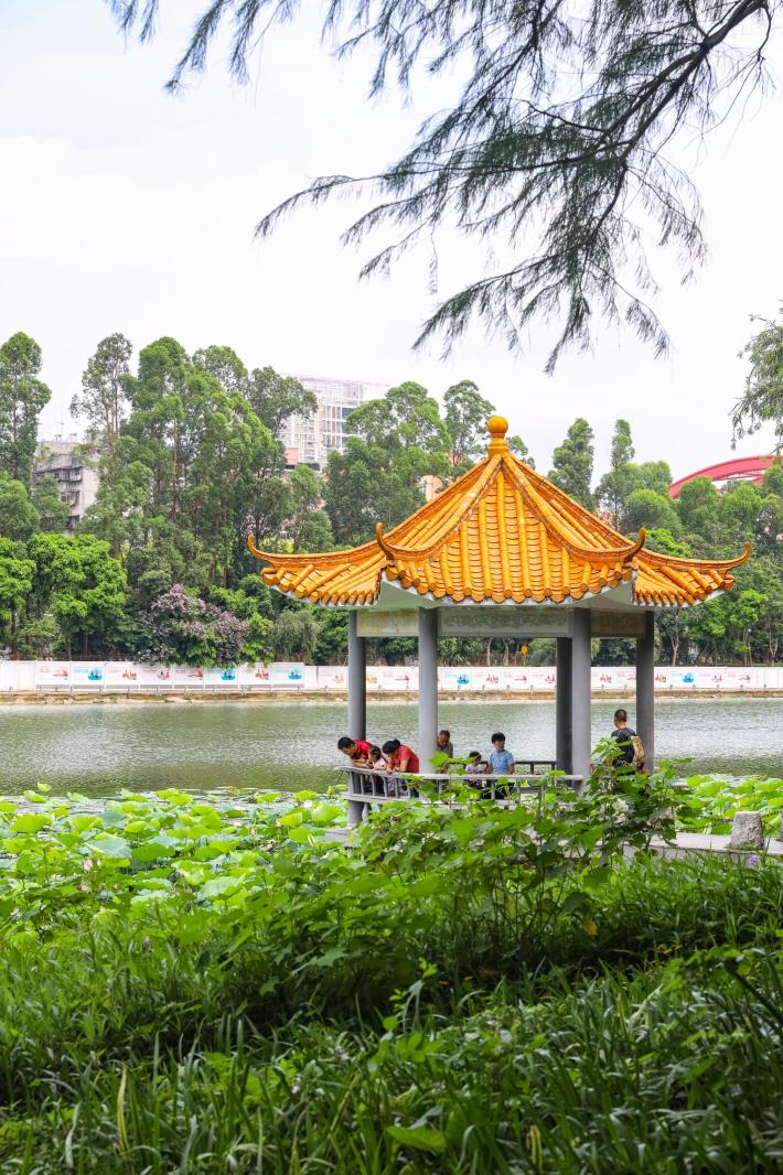 洪湖公园