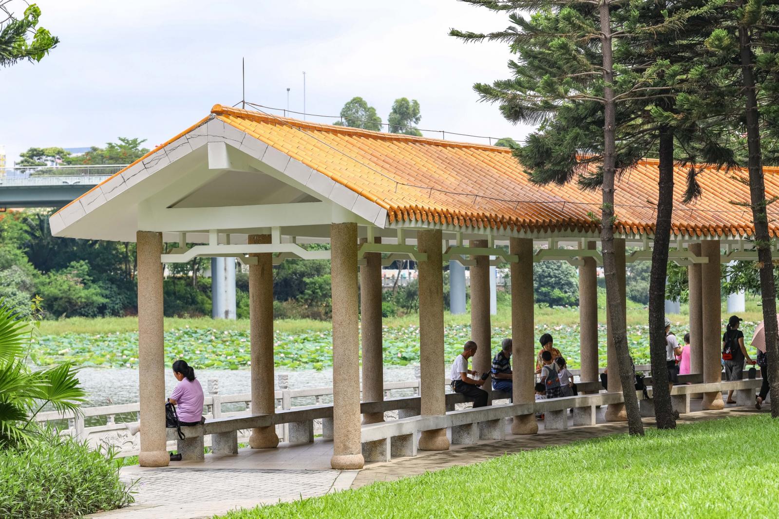 洪湖公园