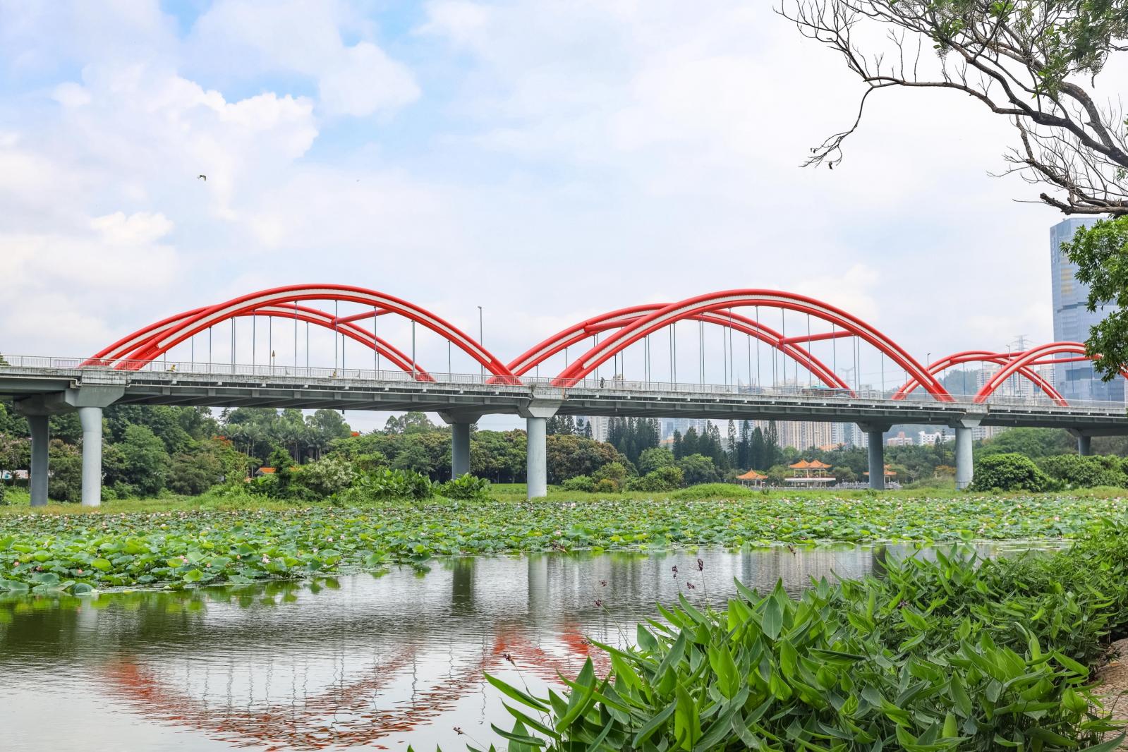 洪湖公园