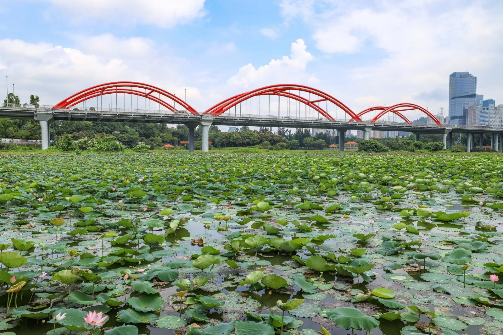 洪湖公园