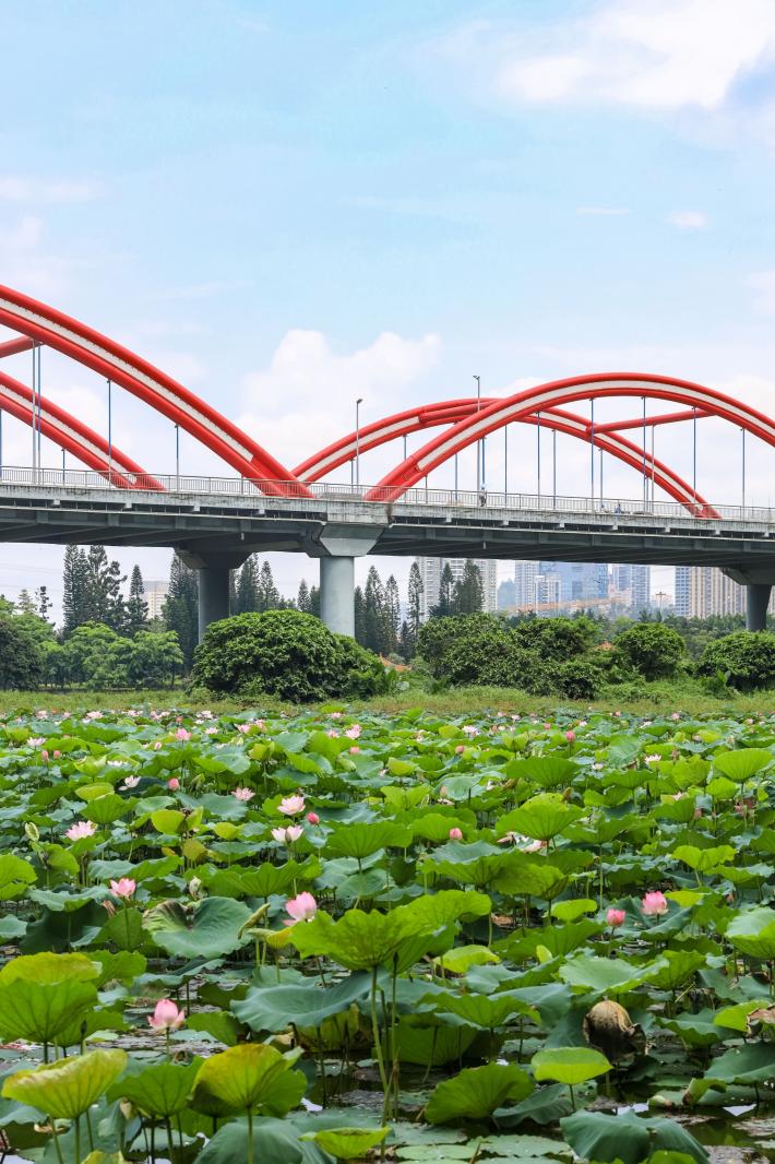 洪湖公园