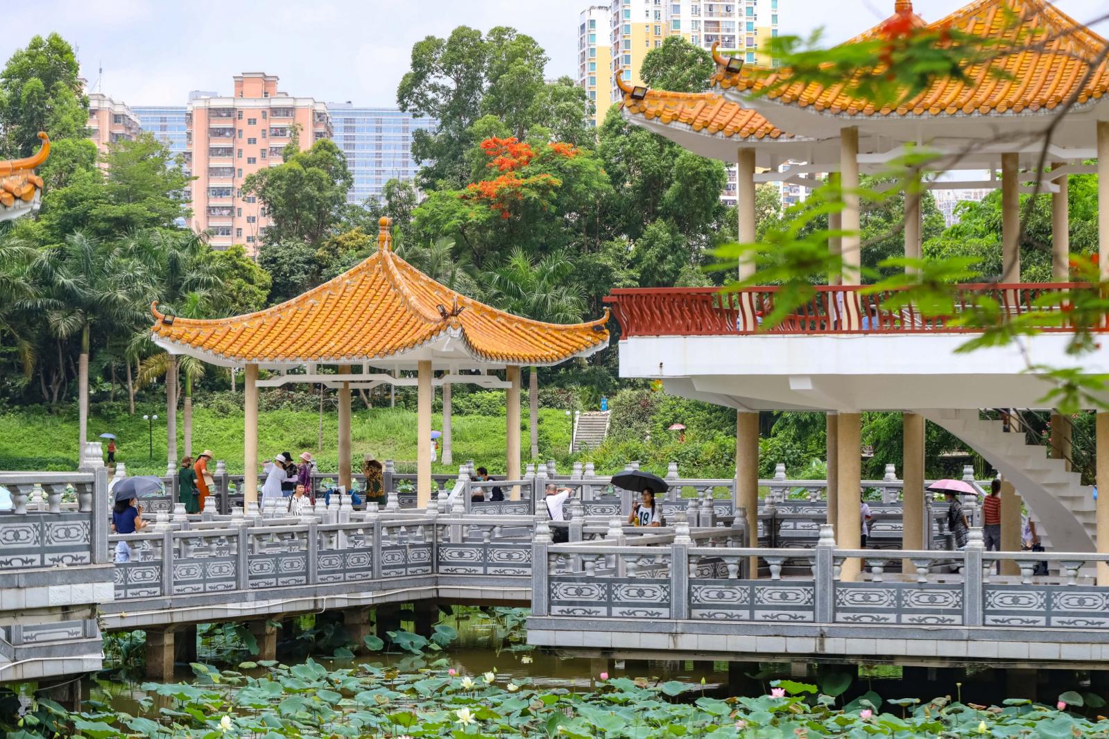 洪湖公园
