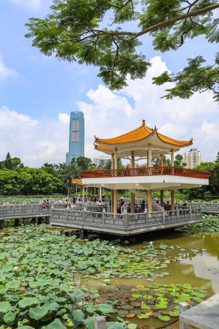 洪湖公园