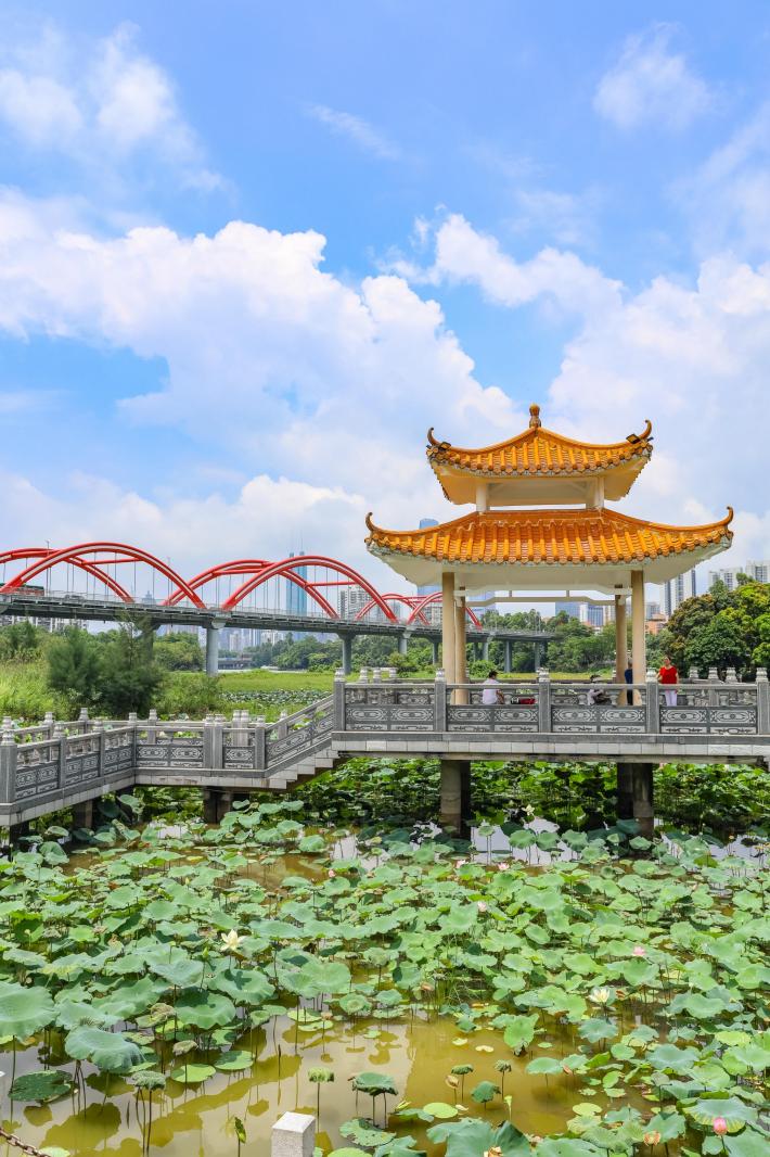 洪湖公园