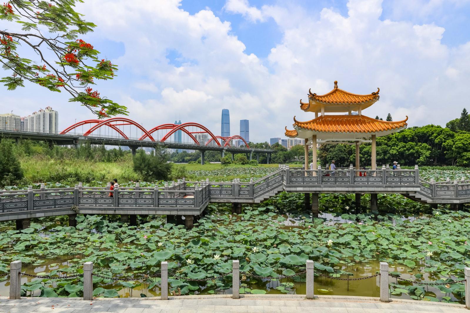 洪湖公园