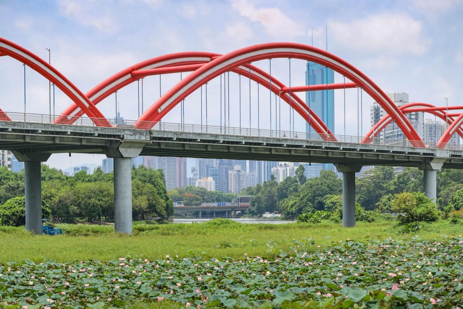 洪湖公园