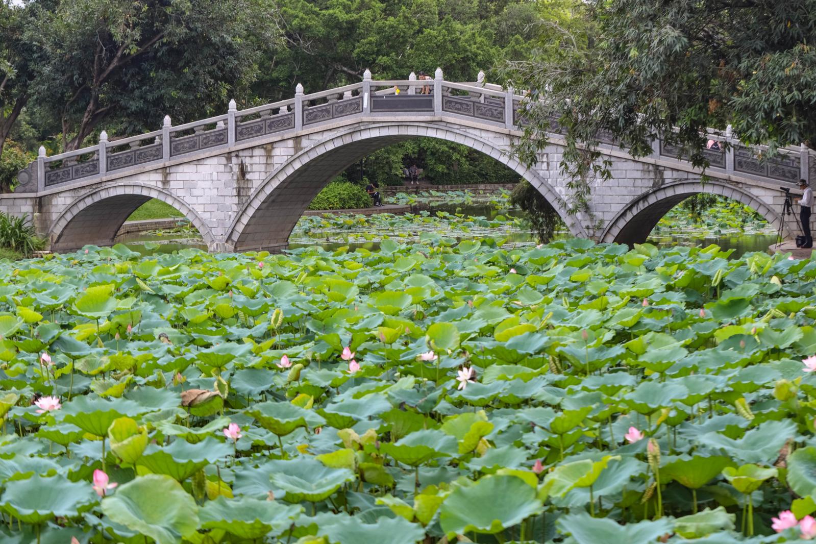 洪湖公园
