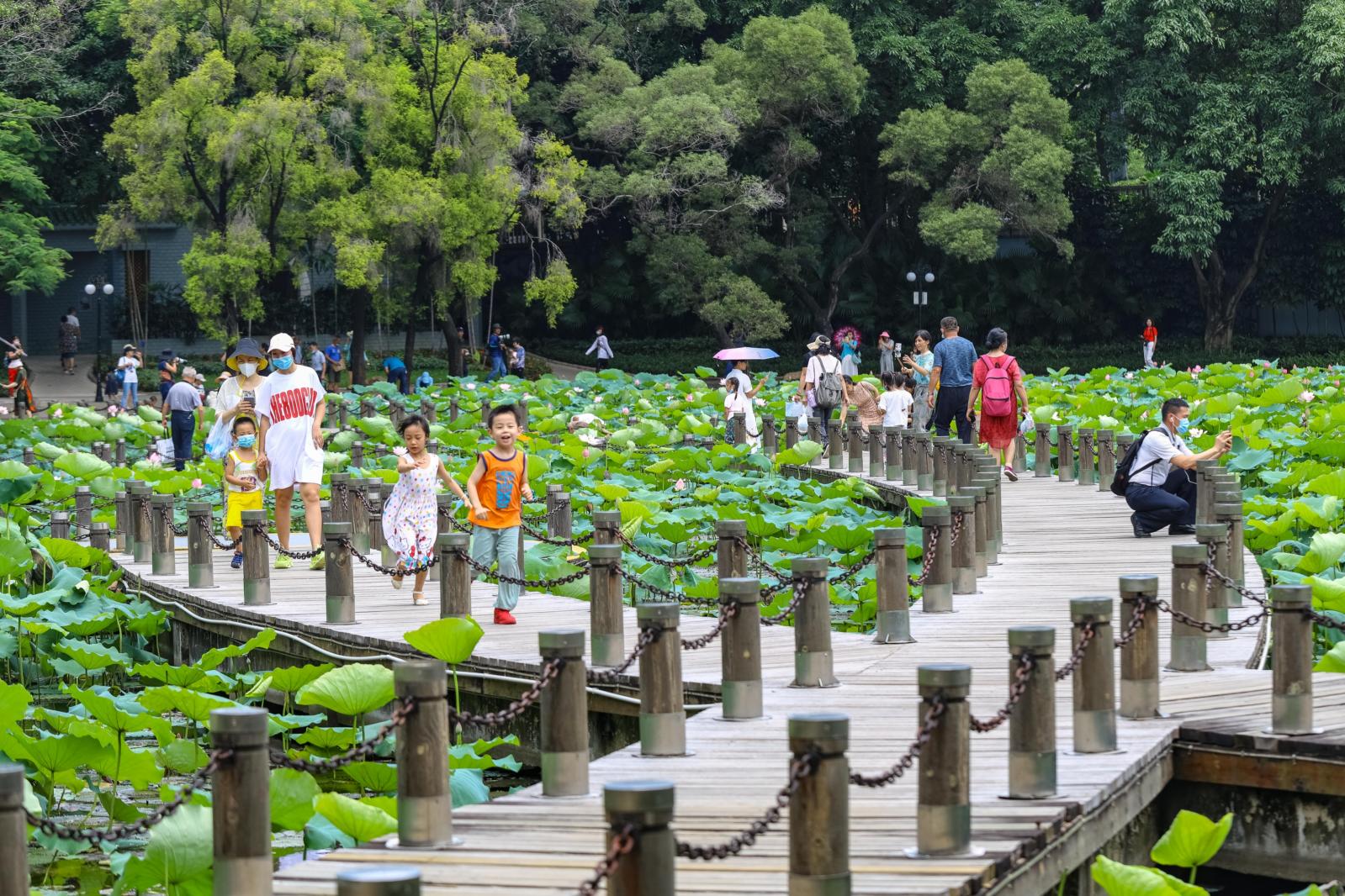洪湖公园