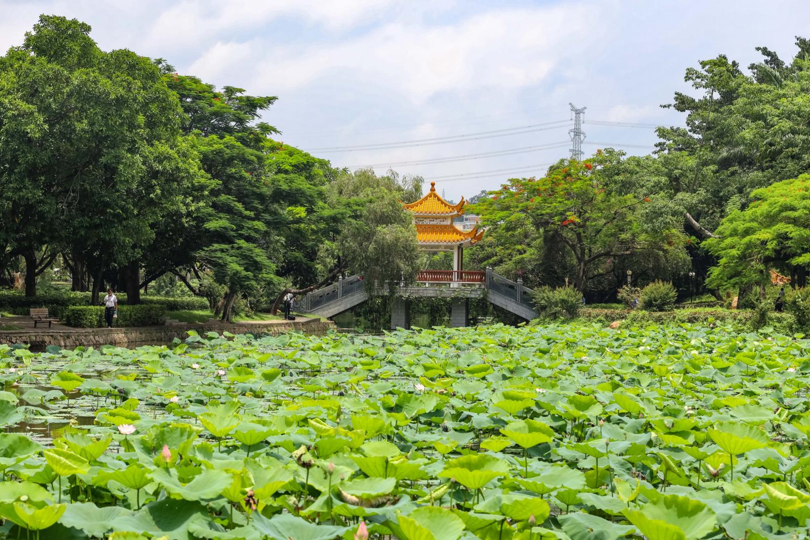 洪湖公园