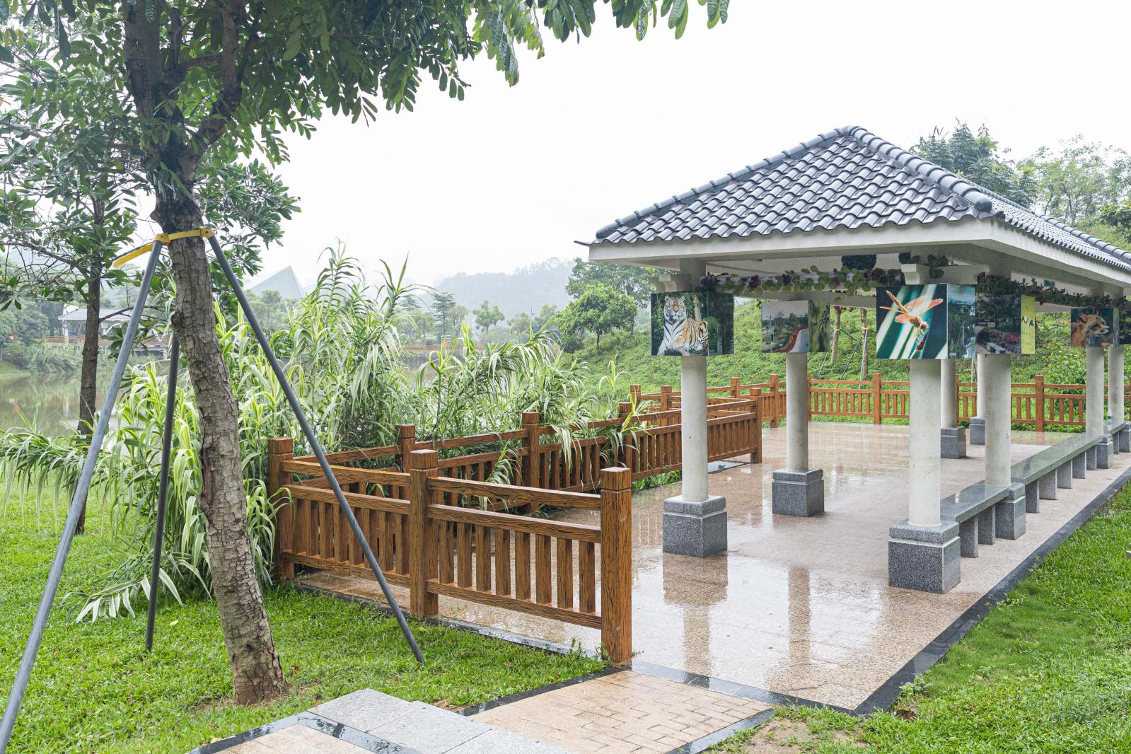 大运公园