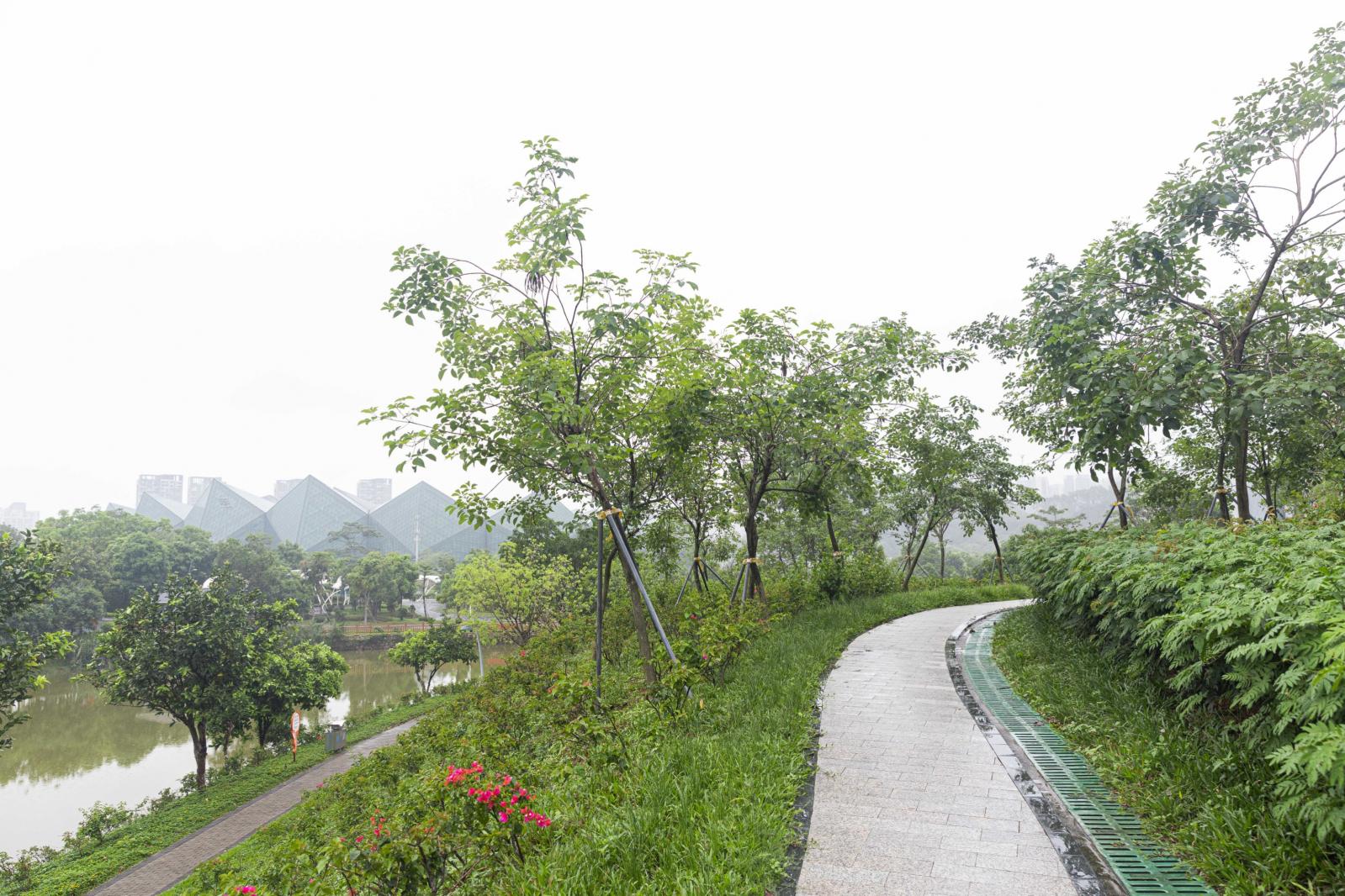 大运公园