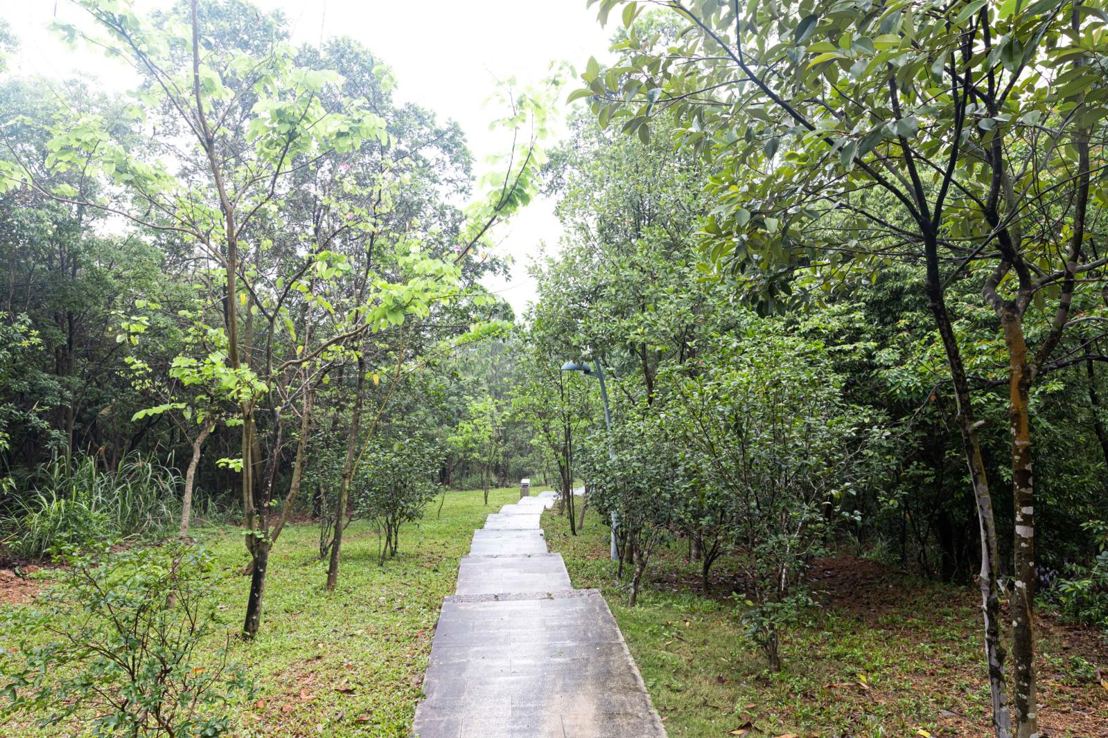 大运公园
