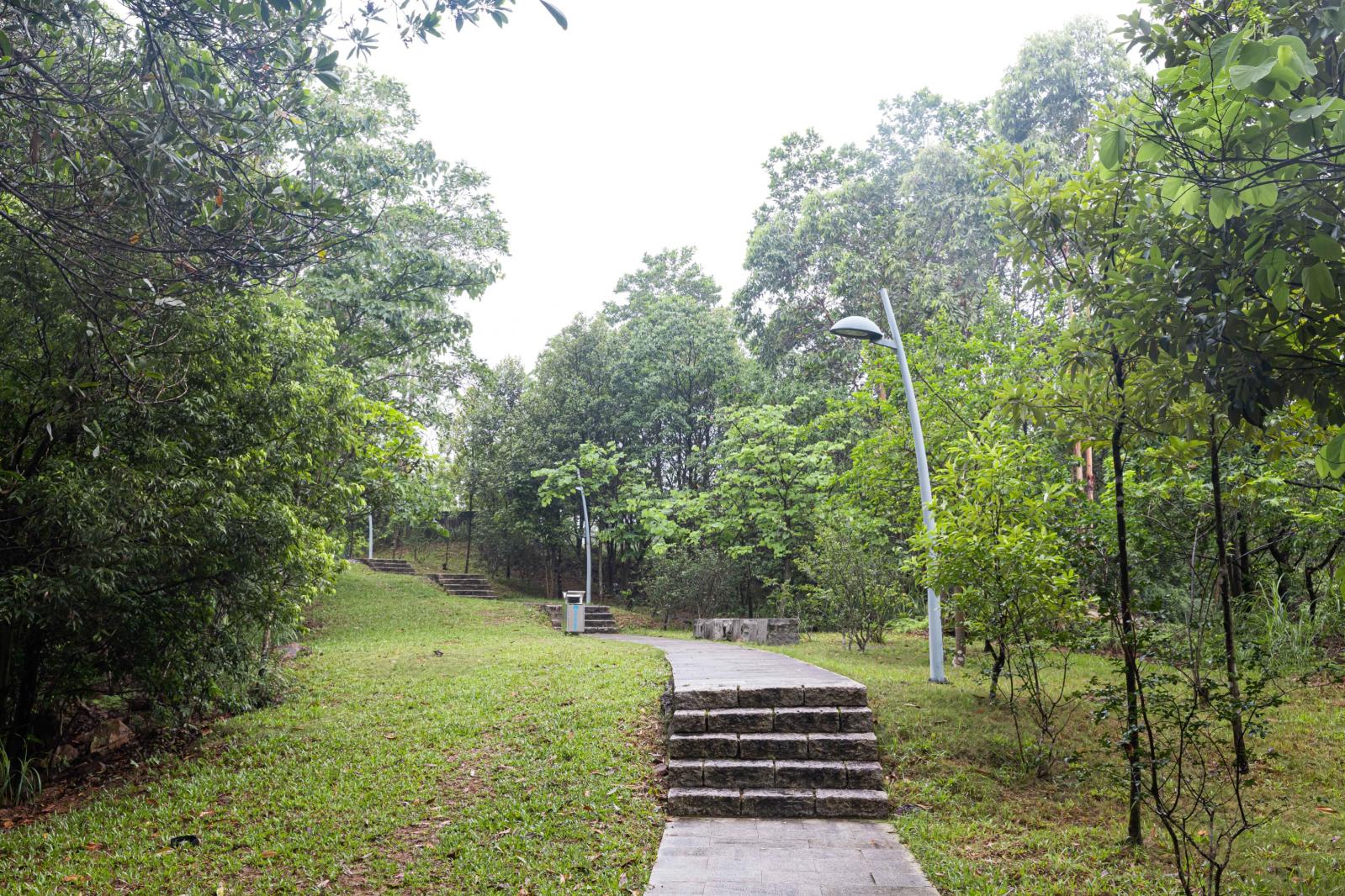 大运公园