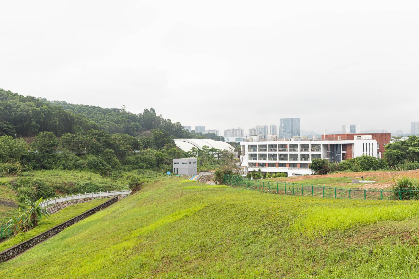 大运公园