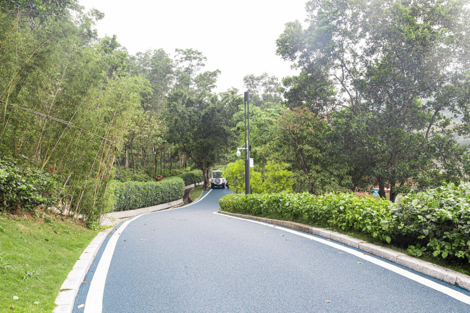 大运公园