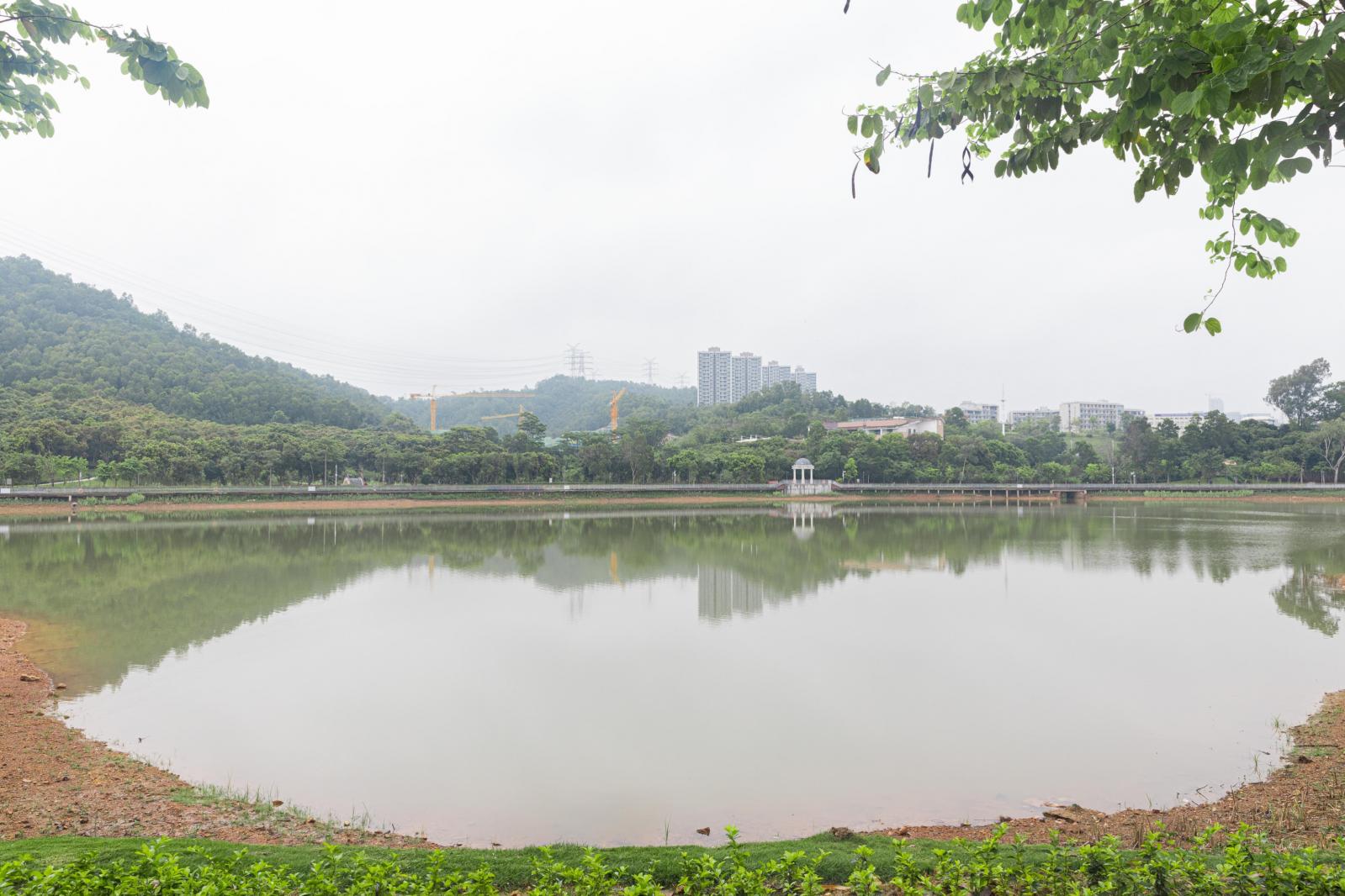大运公园
