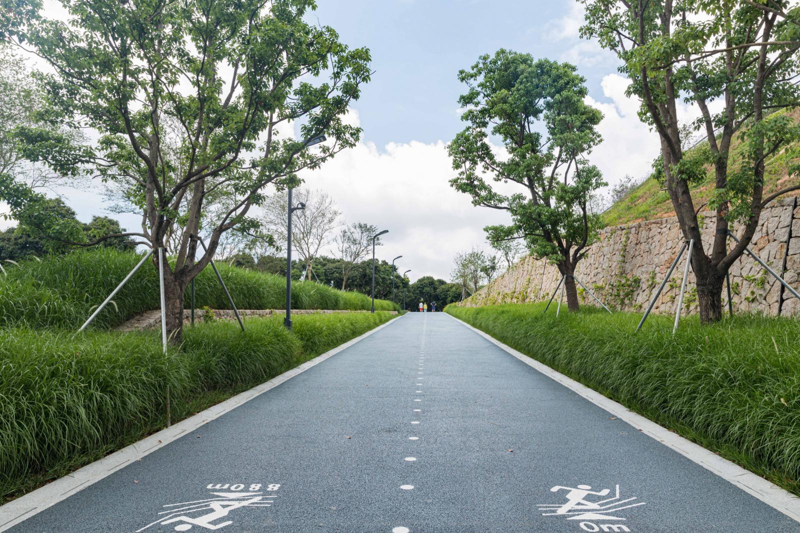 西丽生态公园
