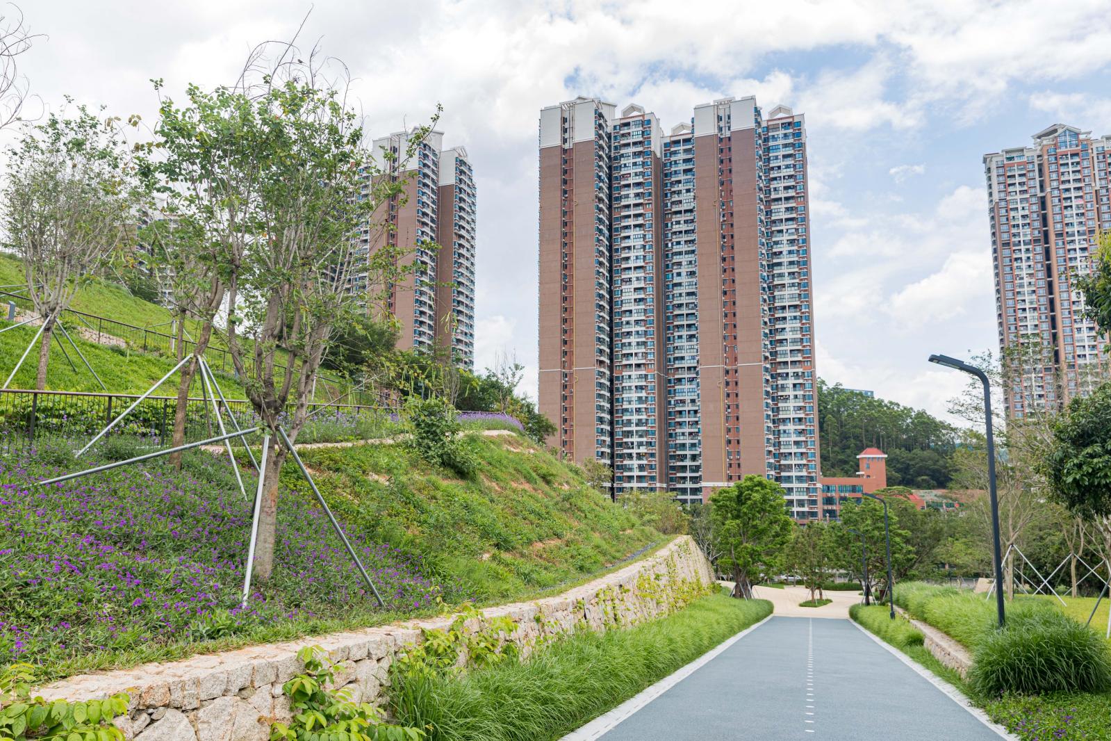 西丽生态公园