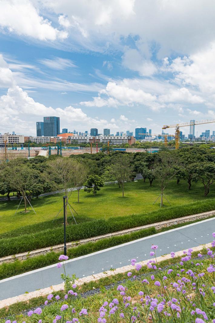 西丽生态公园