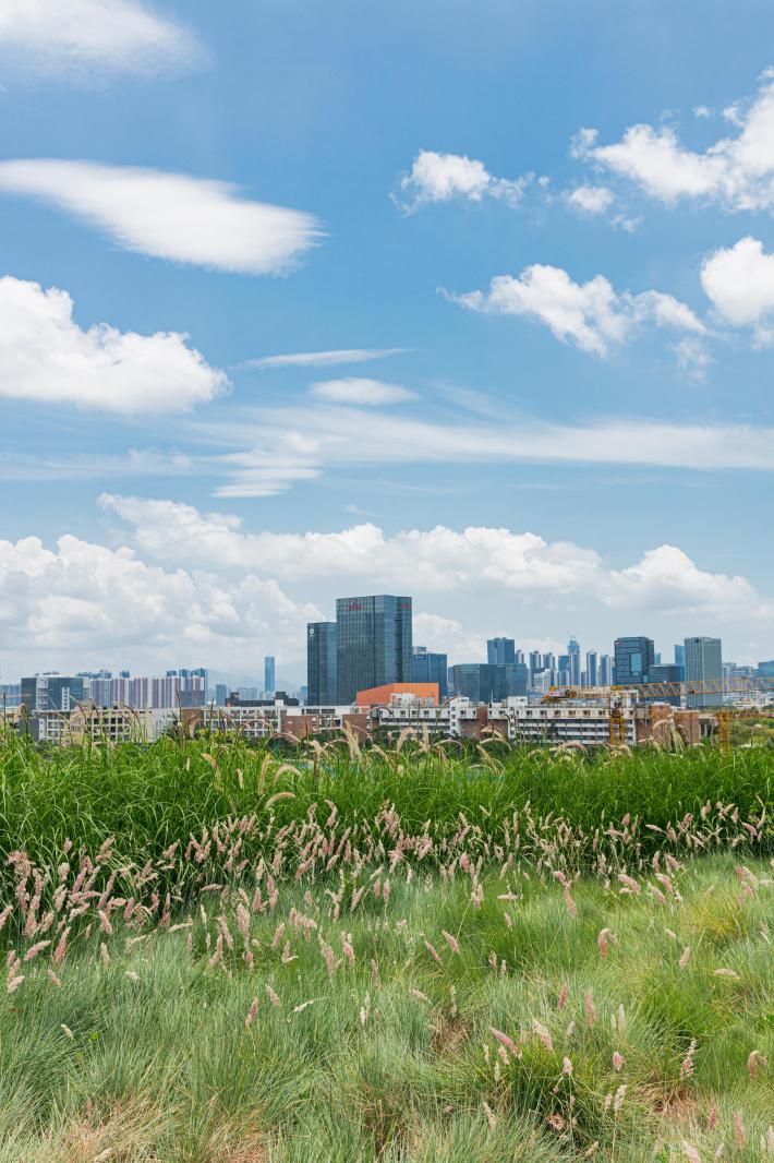 西丽生态公园