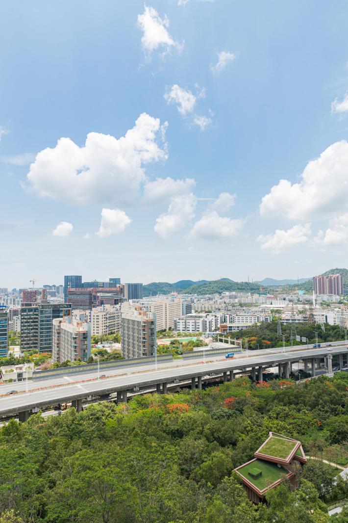 西丽生态公园
