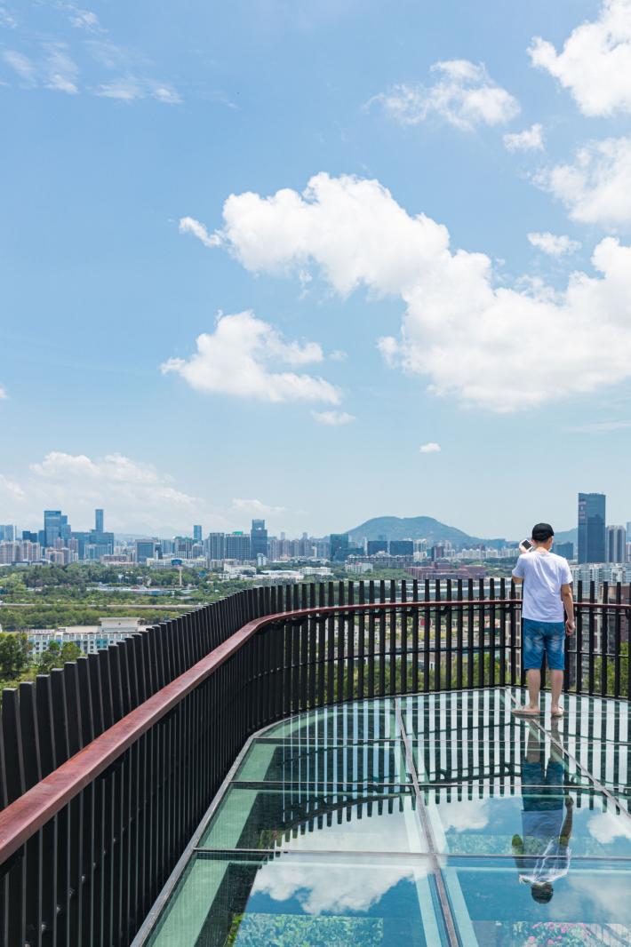 西丽生态公园