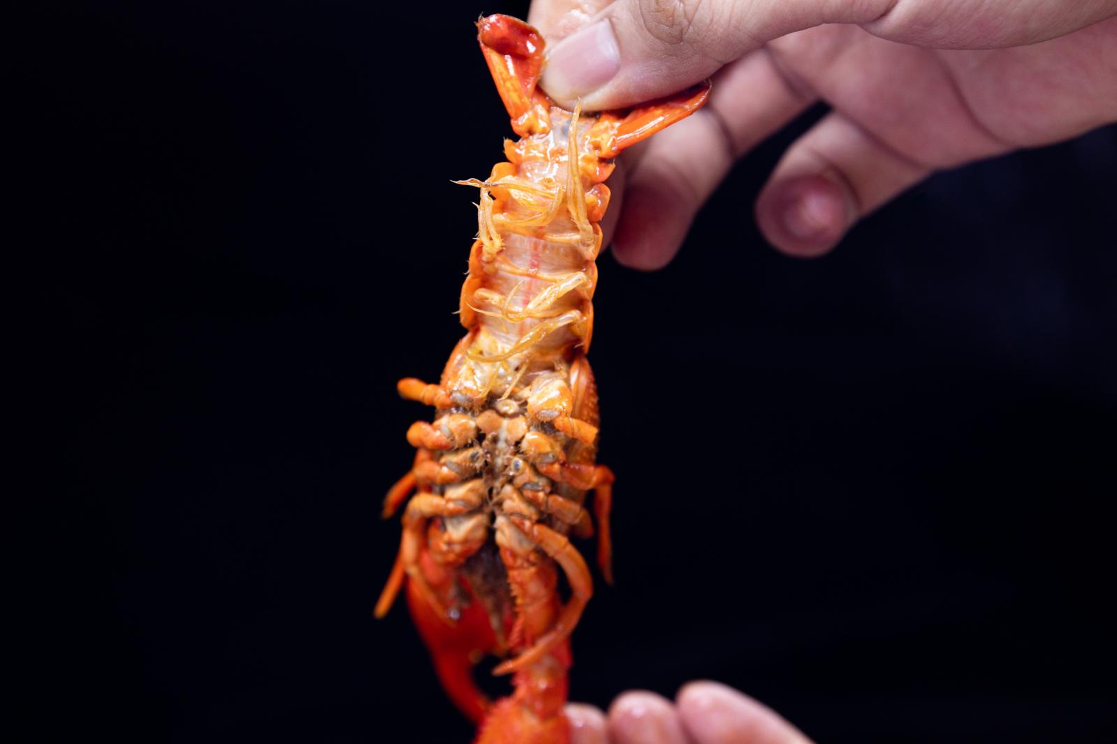 小龙虾