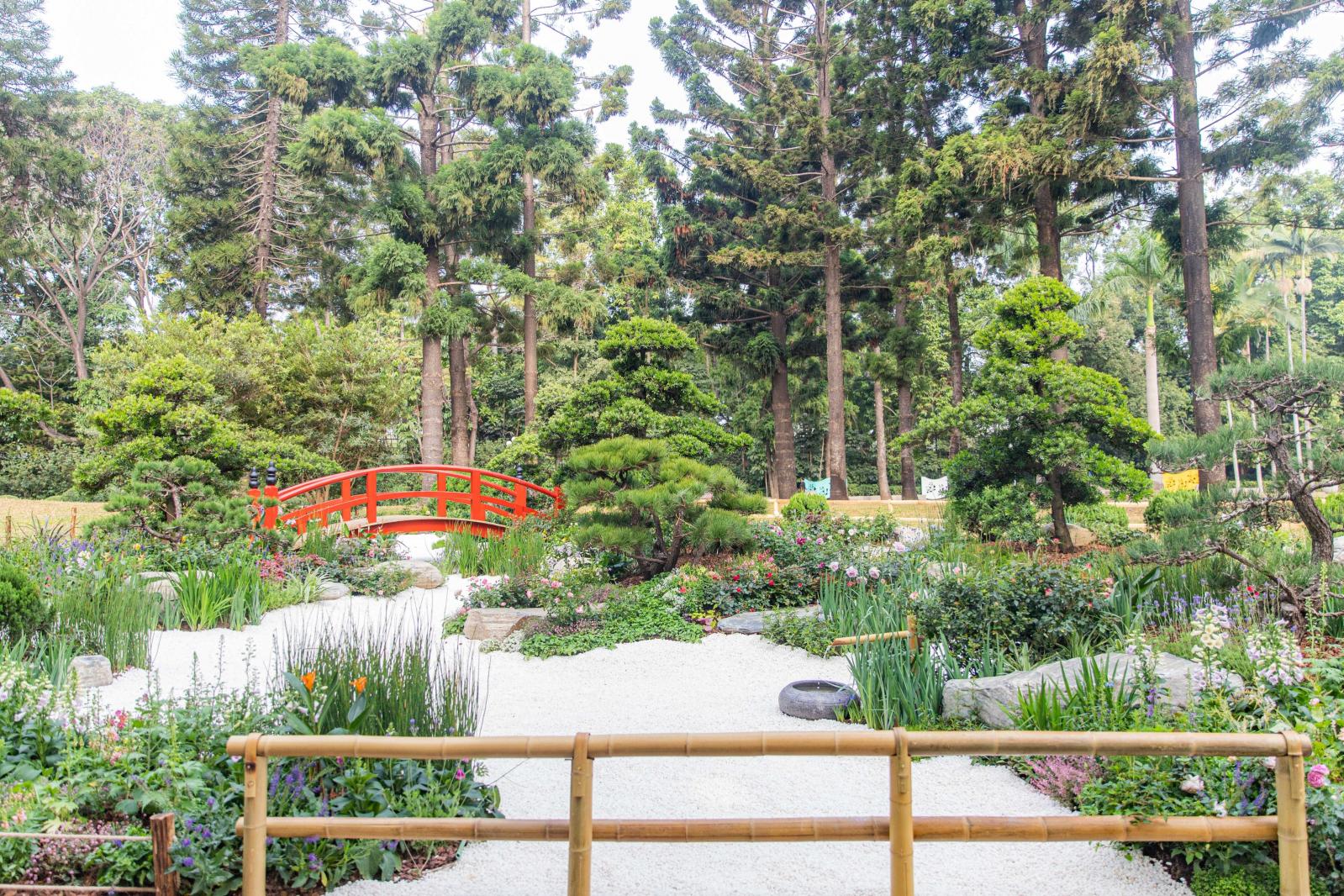 人民公园月季花展