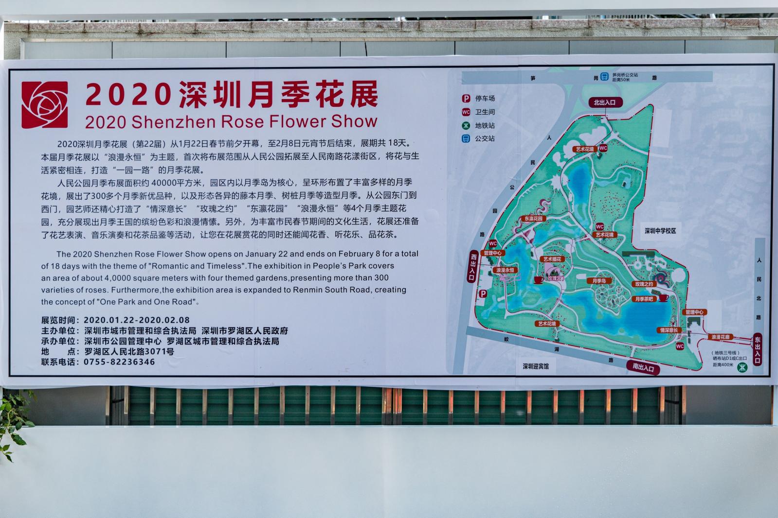 人民公园月季花展