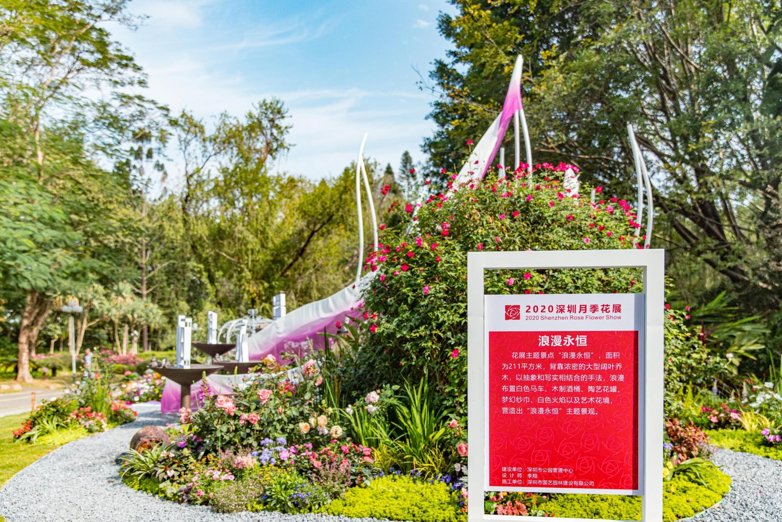人民公园月季花展