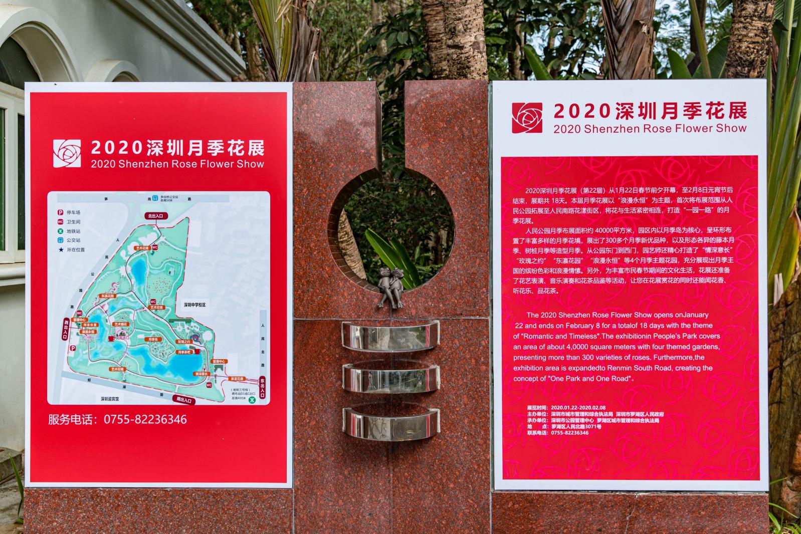 人民公园月季花展
