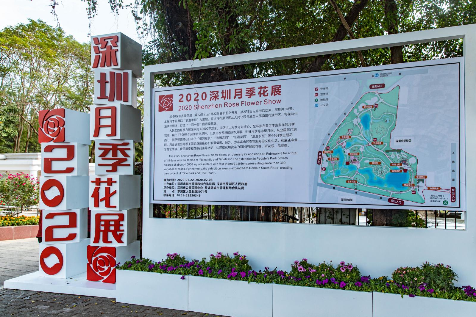 人民公园月季花展