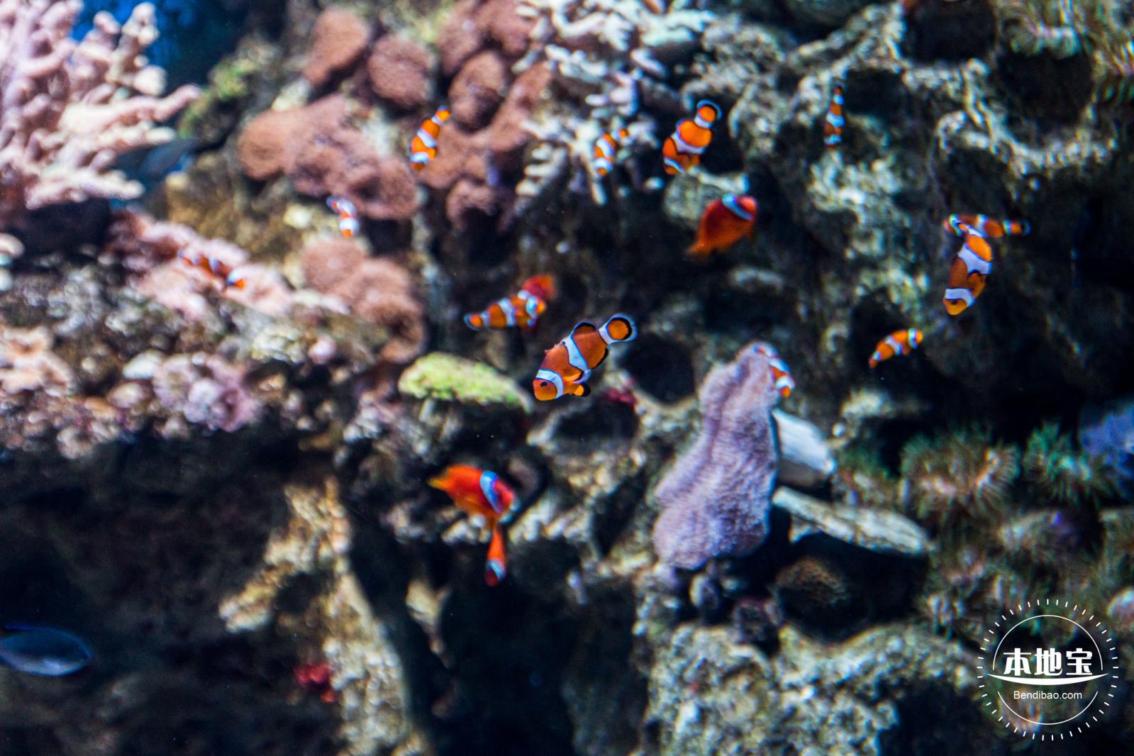珠海长隆海洋王国