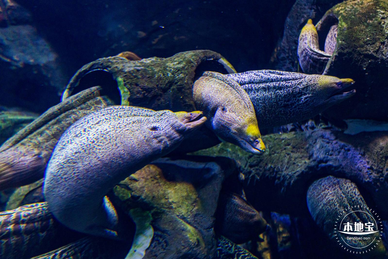 珠海长隆海洋王国