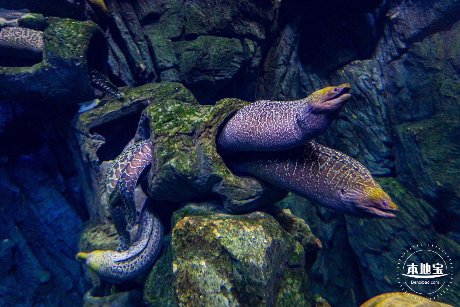珠海长隆海洋王国