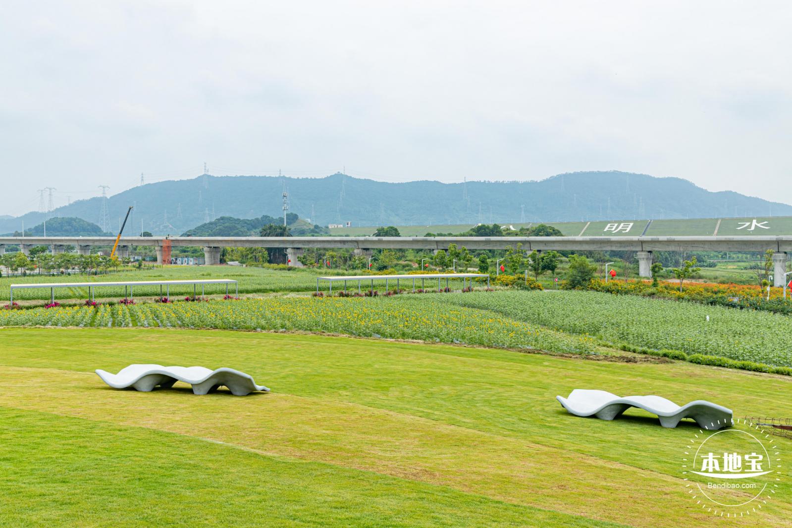 2020光明小镇欢乐田园